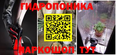 прущая мука Будённовск