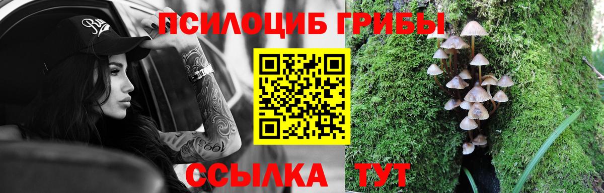 Галлюциногенные грибы ЛСД  Вход с VPN  Псилоцибиновые грибы мухоморы  Элиста 